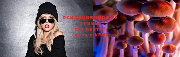 герыч Абаза