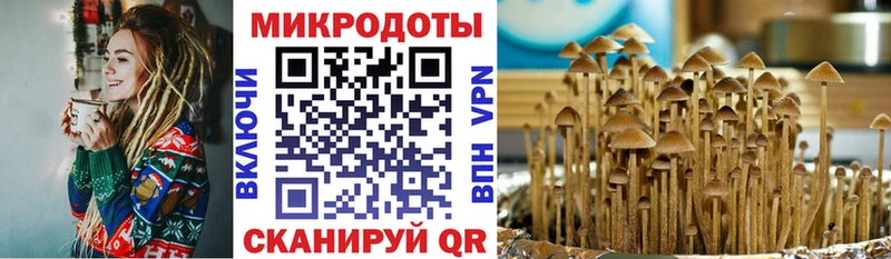 Псилоцибиновые грибы ЛСД  мега зеркало  Цоци-Юрт 
